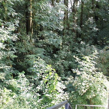 Fewo Harling - Waldsamkeit Bad Iburg Ngoại thất bức ảnh